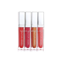 Traditionelle Farbe Beliebter Lipgloss